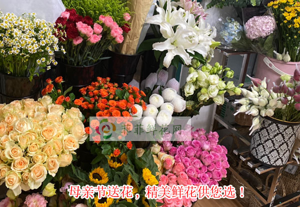2024永州新田县母亲节送花,永州新田县精美鲜花供您选!